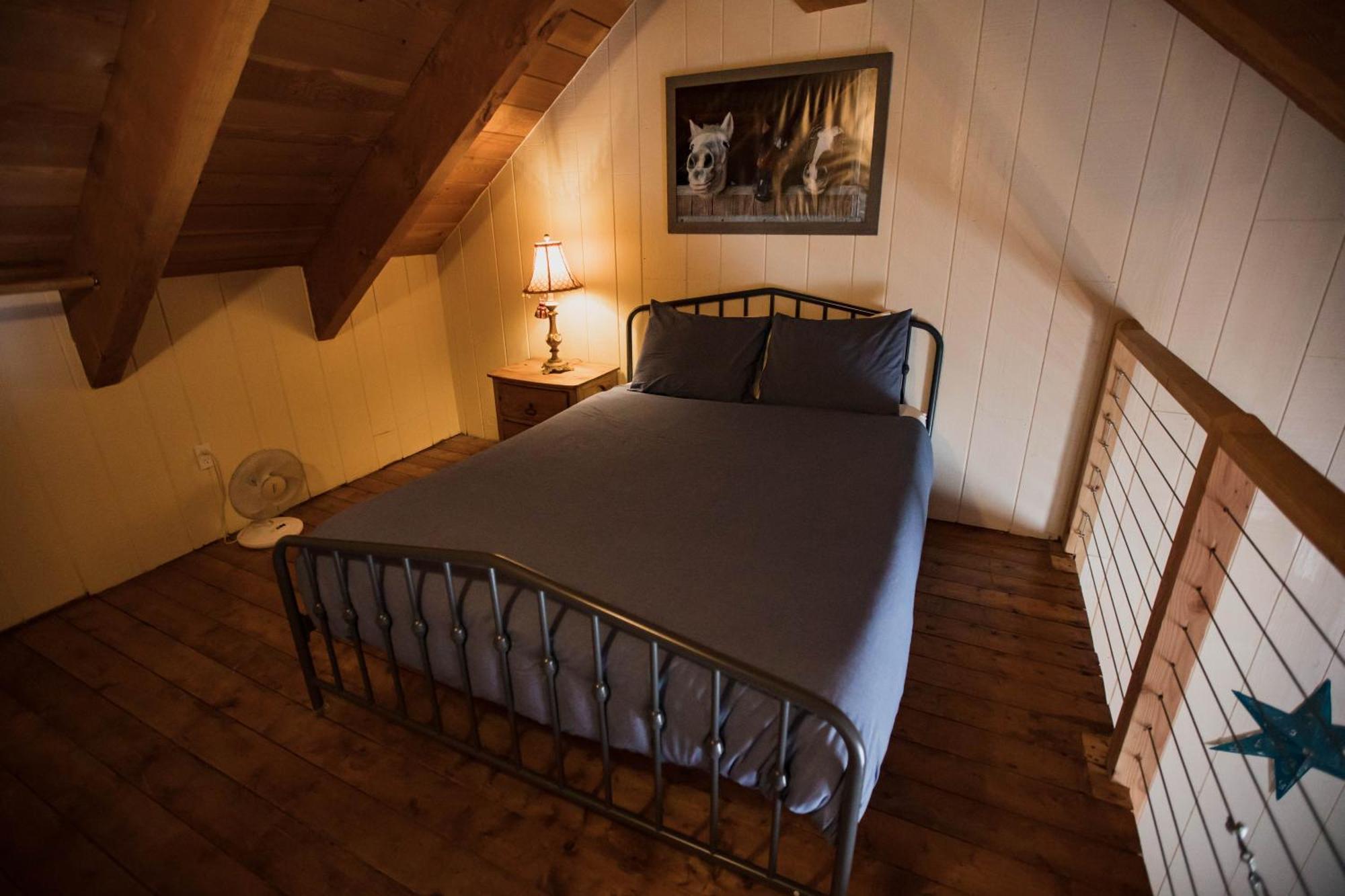The Viking - Downtown Colorado 2*