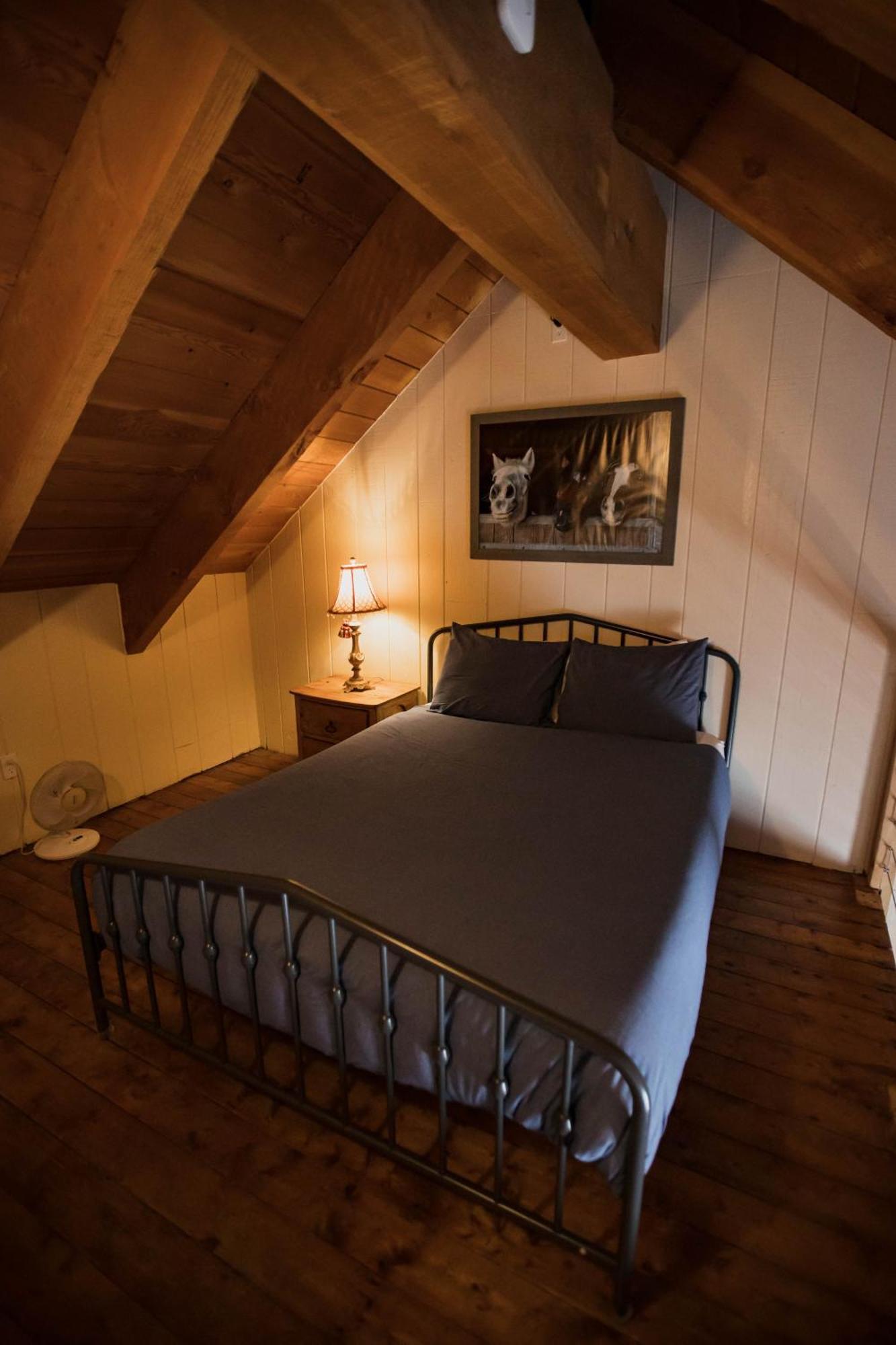 The Viking - Downtown Colorado 2*